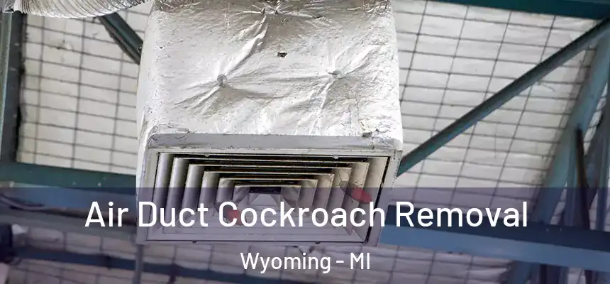Air Duct Cockroach Removal Wyoming - MI