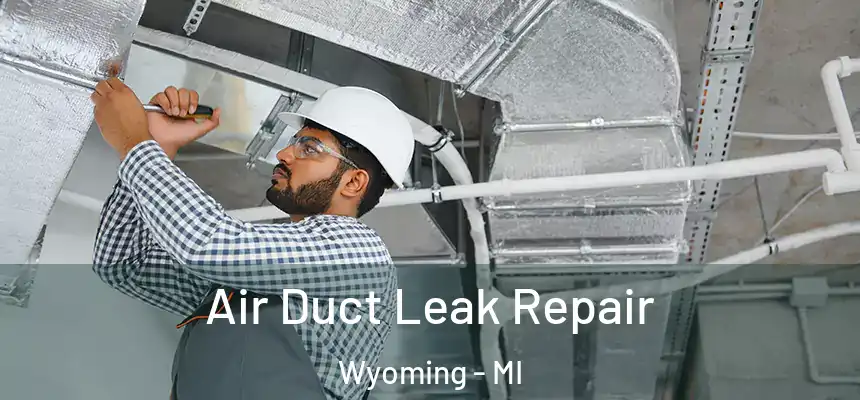 Air Duct Leak Repair Wyoming - MI