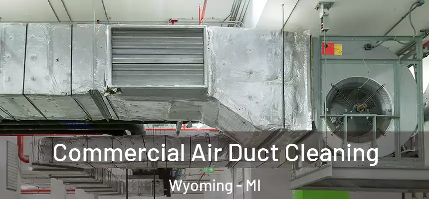 Commercial Air Duct Cleaning Wyoming - MI