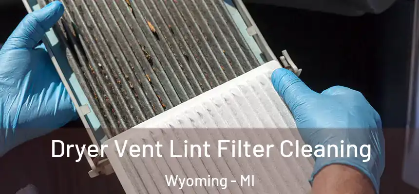 Dryer Vent Lint Filter Cleaning Wyoming - MI