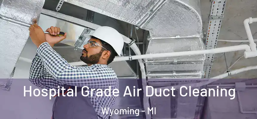 Hospital Grade Air Duct Cleaning Wyoming - MI