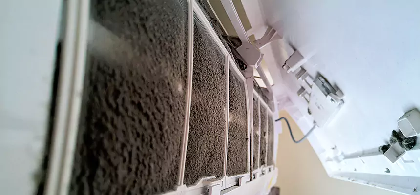 Preventive Air Duct Bacteria Removal in Wyoming