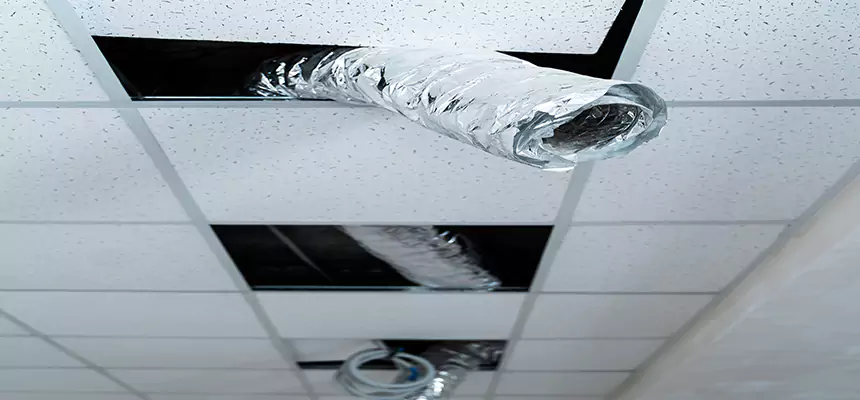 Affordable HVAC Sanitizing After Pest Removal in Wyoming