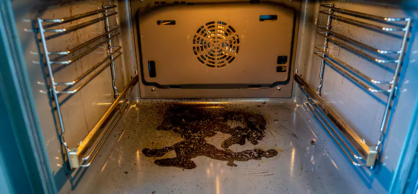 Our Air Purifier Installation Services in Wyoming, MI