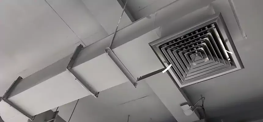 Our Pest Removal From Ducts Services in Wyoming, MI