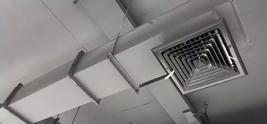 Our Rodent Droppings In Vents Services in Wyoming, MI