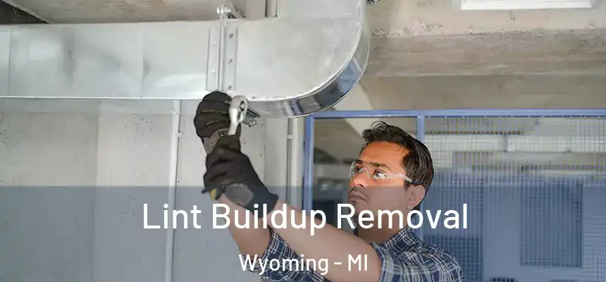 Lint Buildup Removal Wyoming - MI