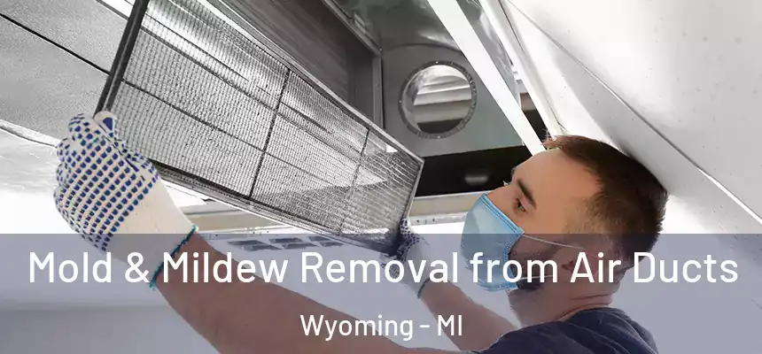 Mold & Mildew Removal from Air Ducts Wyoming - MI