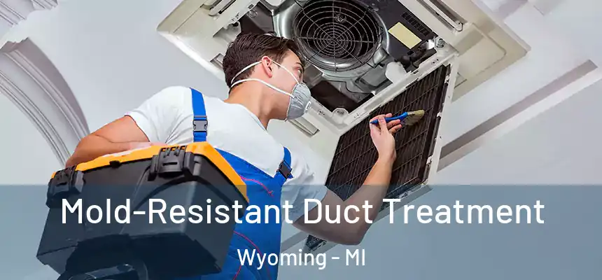  Mold-Resistant Duct Treatment Wyoming - MI
