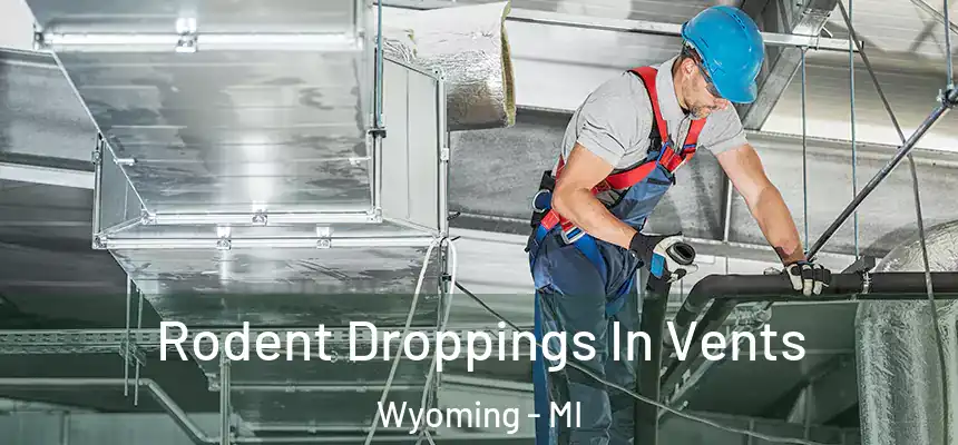 Rodent Droppings In Vents Wyoming - MI