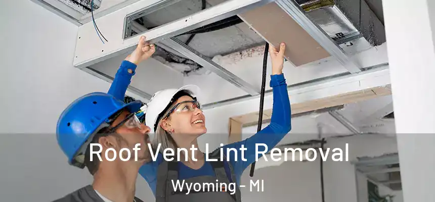 Roof Vent Lint Removal Wyoming - MI