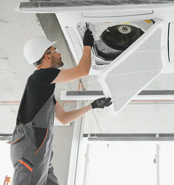 About Air Duct Rodent Removal in Wyoming, MI