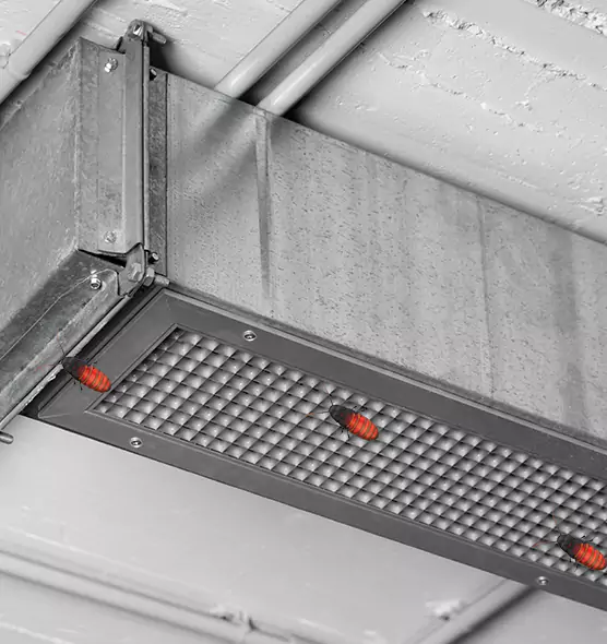 Affordable Insect Removal from Air Ducts in Wyoming, MI
