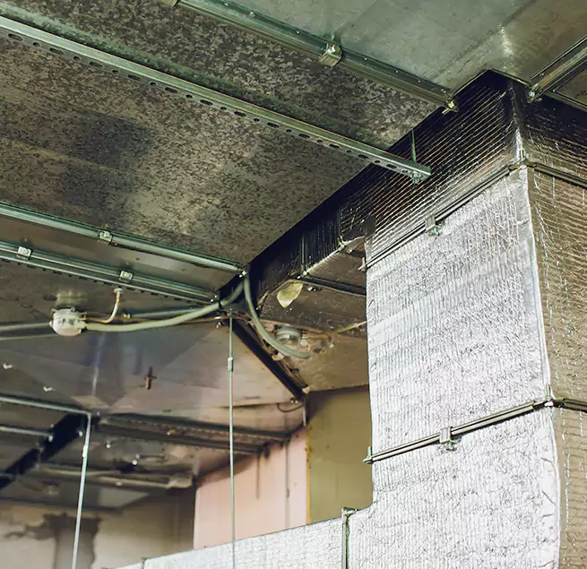 Why Homeowners & Businesses Trust Us in Wyoming, MI?