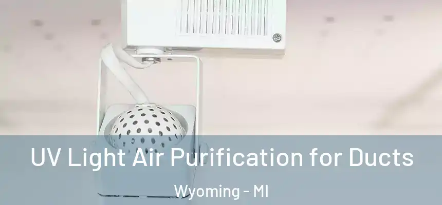 UV Light Air Purification for Ducts Wyoming - MI